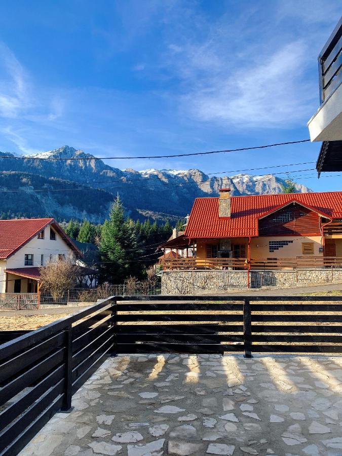 Nordic Chalet Синая Екстериор снимка