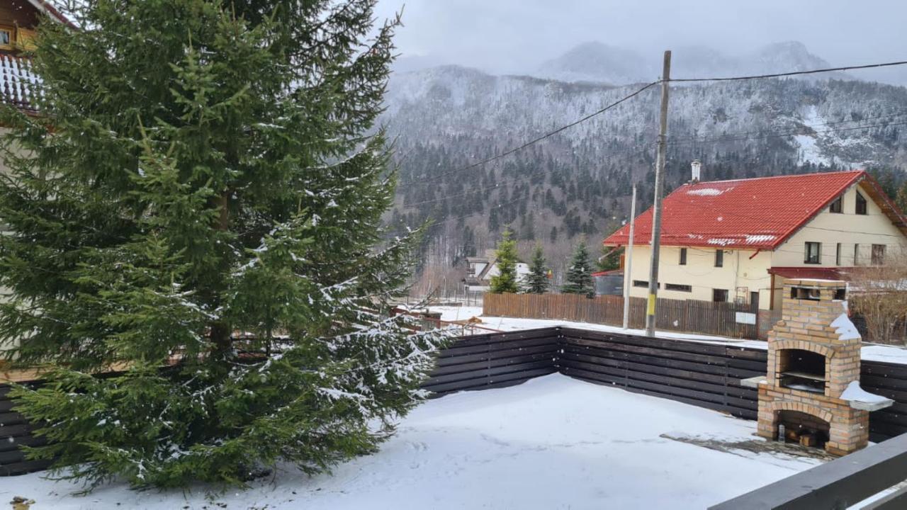 Nordic Chalet Синая Екстериор снимка